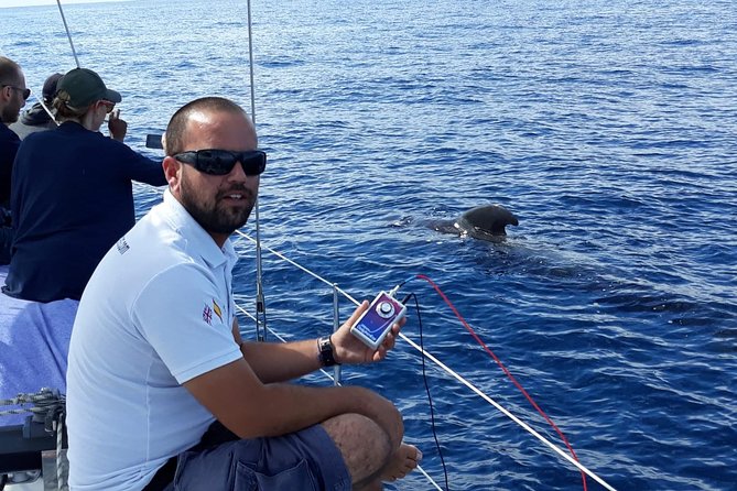 Private Yacht Tour With Whale and Dolphin Watching 42 Foot Boat - What the private format is really worth
