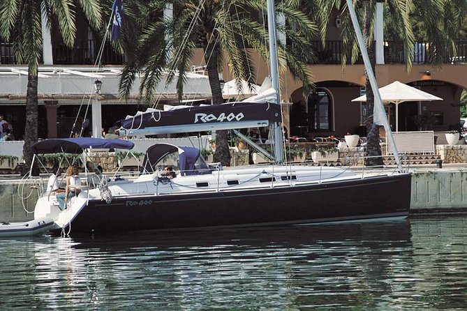Private Yacht Tour With Whale and Dolphin Watching 42 Foot Boat - Watching Tenerife’s whales and dolphins from the water