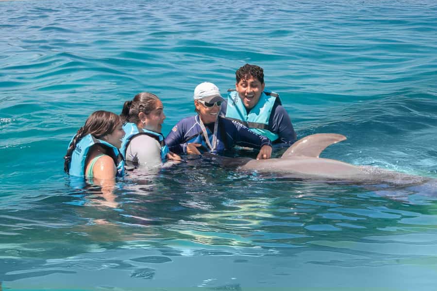 Puerto Aventuras: Dolphin and Manatee Interaction with Lunch - Lunch turns a short visit into a fuller outing