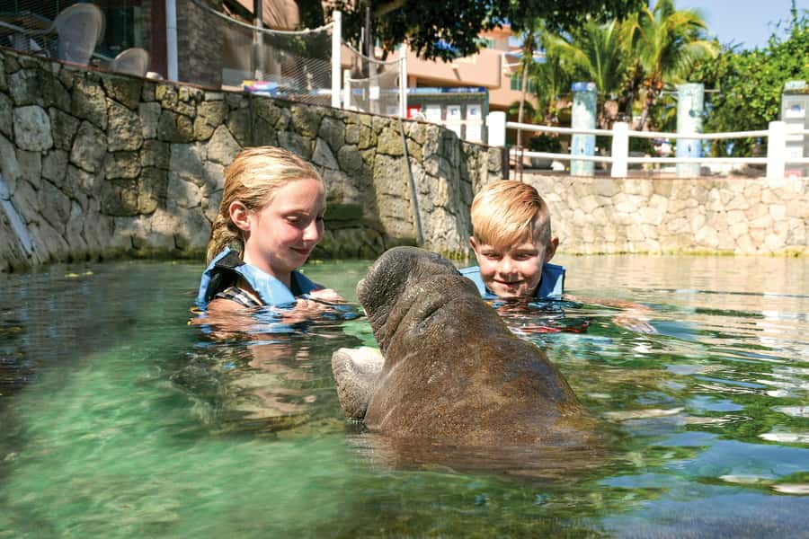 Puerto Aventuras: Dolphin and Manatee Interaction with Lunch - Puerto Aventuras marina access is useful before and after