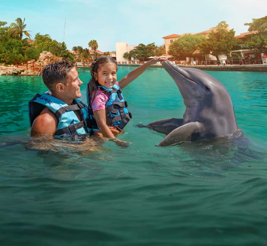 Puerto Aventuras: Dolphin and Manatee Interaction with Lunch - The photo rule affects the total cost