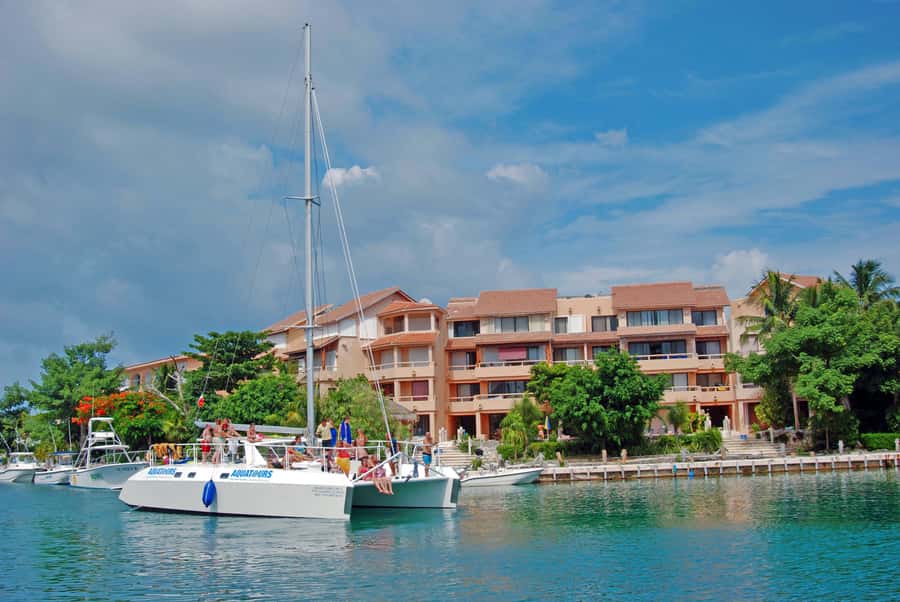 Puerto Aventuras: Dolphin and Manatee Interaction with Lunch - What the $139 price really covers