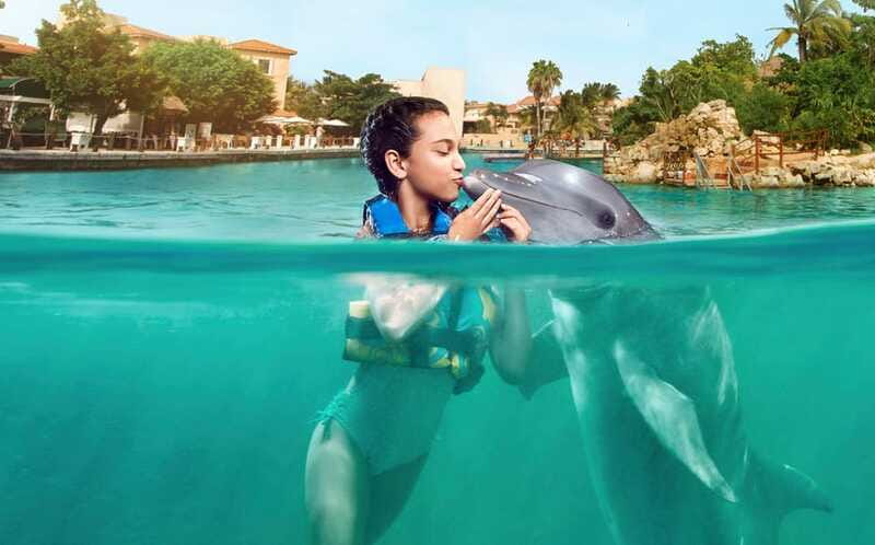 Puerto Aventuras: Dolphin Encounter with Buffet Lunch - Exploring the Puerto Aventuras marina