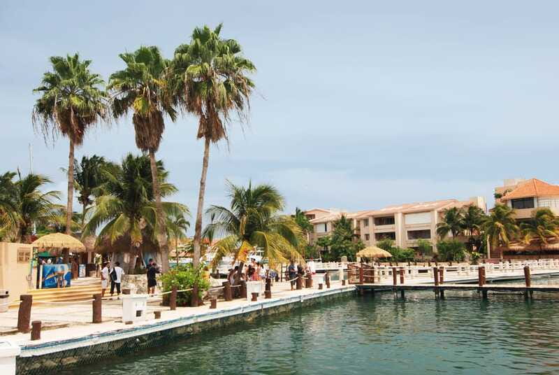 Puerto Aventuras: Dolphin Encounter with Buffet Lunch - Lockers, showers, and what to pack