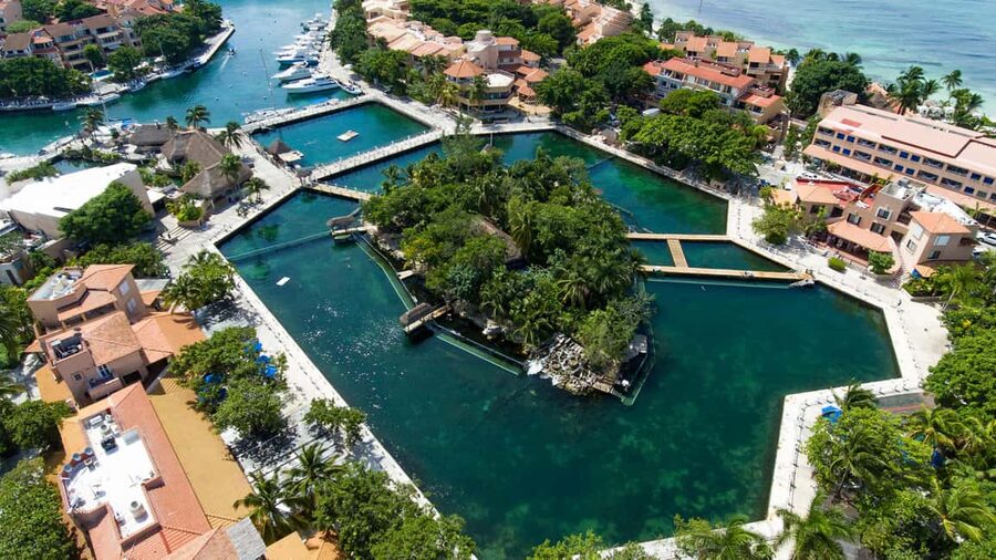Puerto Aventuras: Dolphin & Manatee Encounter with lunch - What the dolphin activities are really like