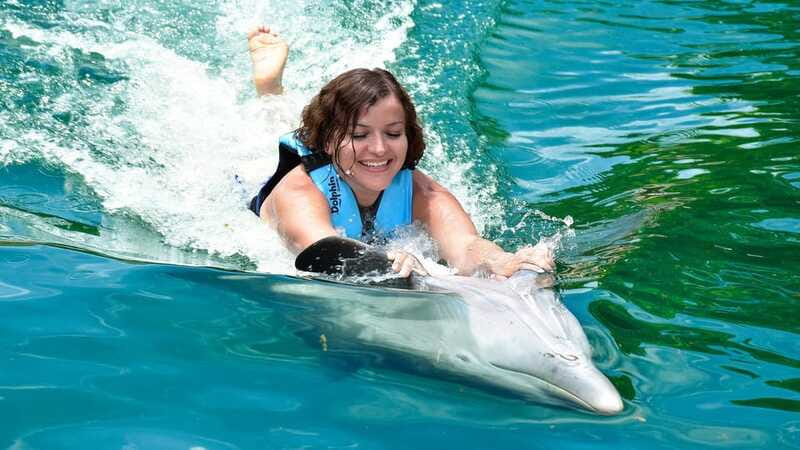 Puerto Aventuras: Dolphin & Manatee Encounter with lunch - Practical planning for Puerto Aventuras