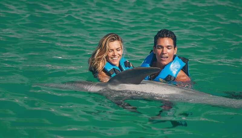 Puerto Aventuras: Dolphin & Manatee Encounter with lunch - What the day does well, and where it is limited