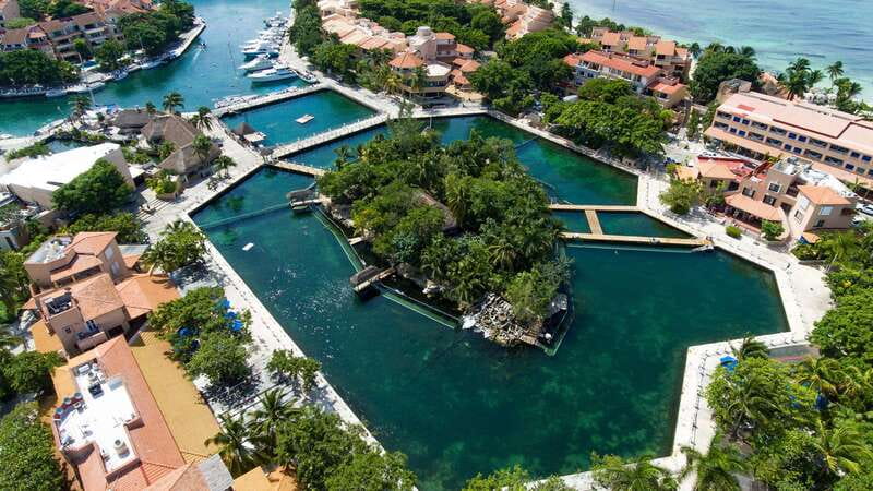 Puerto Aventuras: Dolphin & Manatee Encounter with lunch - Starting with the dolphin encounter