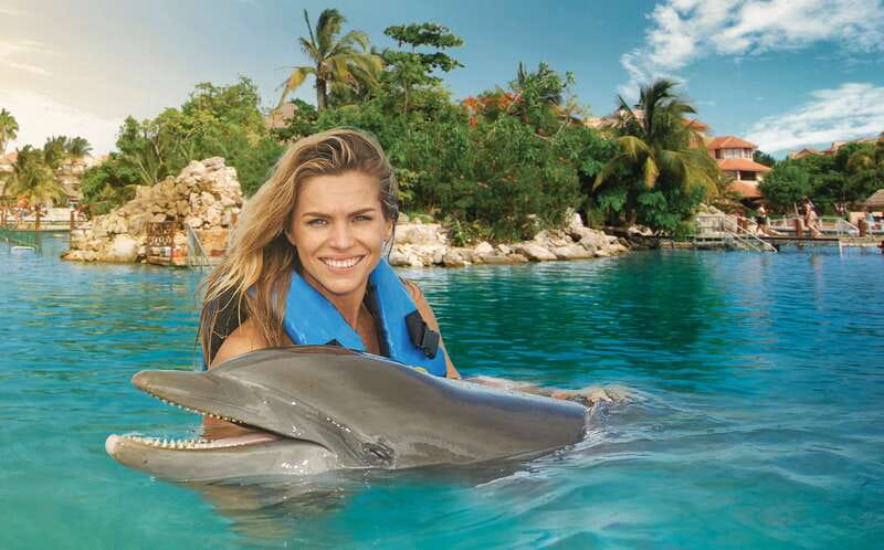 Puerto Aventuras: Dolphin Swim, Sea Lions, Manatees, & Lunch - Three animals, one compact Puerto Aventuras program