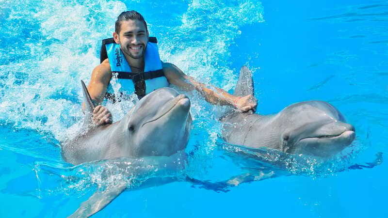 Puerto Aventuras: Dolphin Swim, Sea Lions, Manatees, & Lunch - Lunch, drinks, and the practical facilities