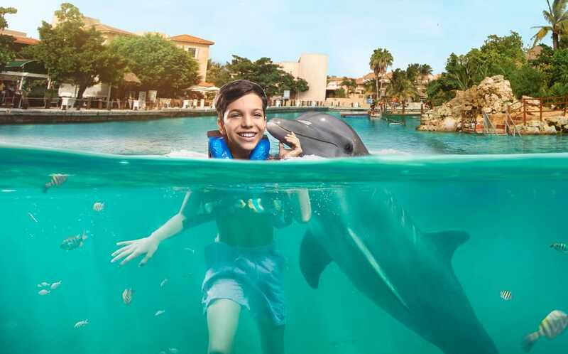 Puerto Aventuras: Dolphin Swim, Sea Lions, Manatees, & Lunch - Is it suitable for children?