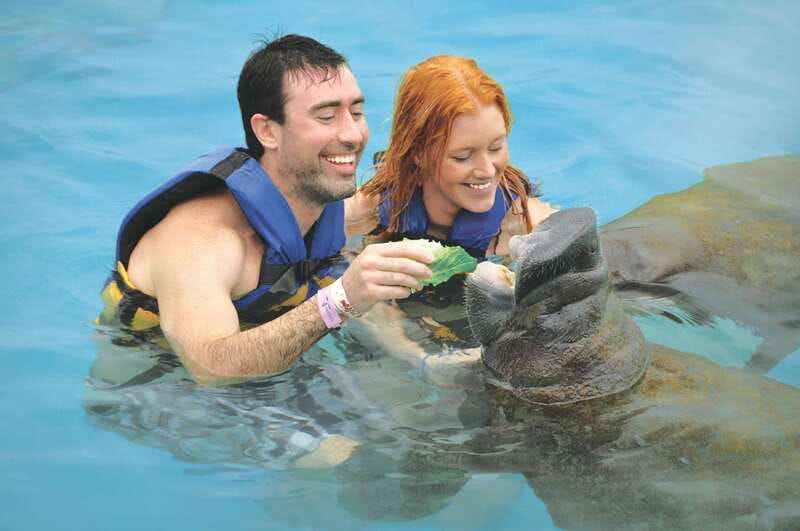 Puerto Aventuras: Dolphin Swim, Sea Lions, Manatees, & Lunch - Animal welfare is part of the decision