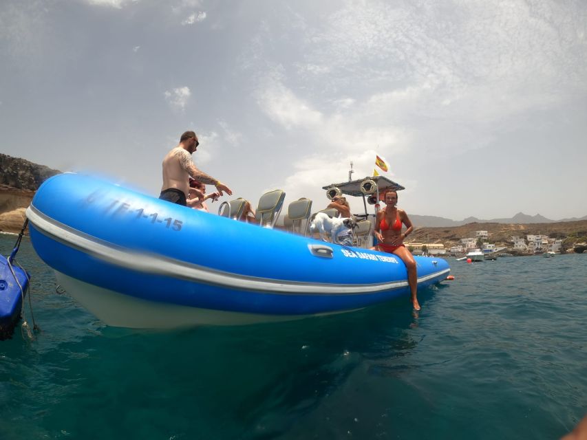 Puerto Colon: Dolphin and Whale Watching Speedboat Cruise - Why this Puerto Colón boat trip feels different