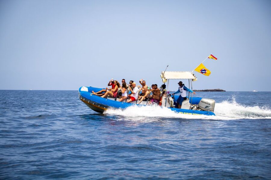 Puerto Colon: Dolphin and Whale Watching Speedboat Cruise - Sandwich, drink, and the ride back