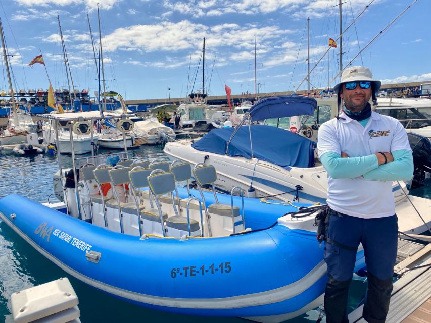 Puerto Colon: Dolphin and Whale Watching Speedboat Cruise - What the $77 price really covers