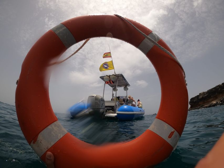 Puerto Colon: Dolphin and Whale Watching Speedboat Cruise - Who should choose this speedboat excursion