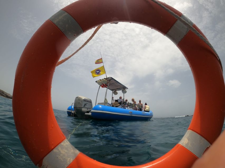 Puerto Colon: Dolphin and Whale Watching Speedboat Tour - Key points at a glance