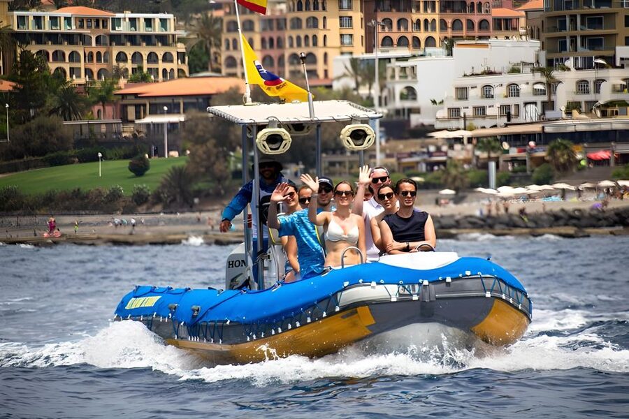 Puerto Colon: Dolphin and Whale Watching Speedboat Tour - Why the small boat makes a difference