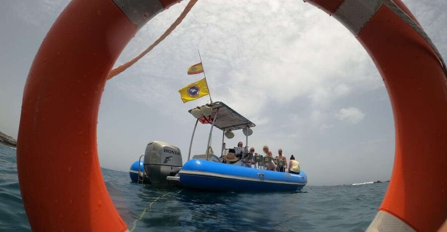 Puerto Colon: Dolphin and Whale Watching Speedboat Tour - Searching for whales and dolphins under the Barco Azul rules