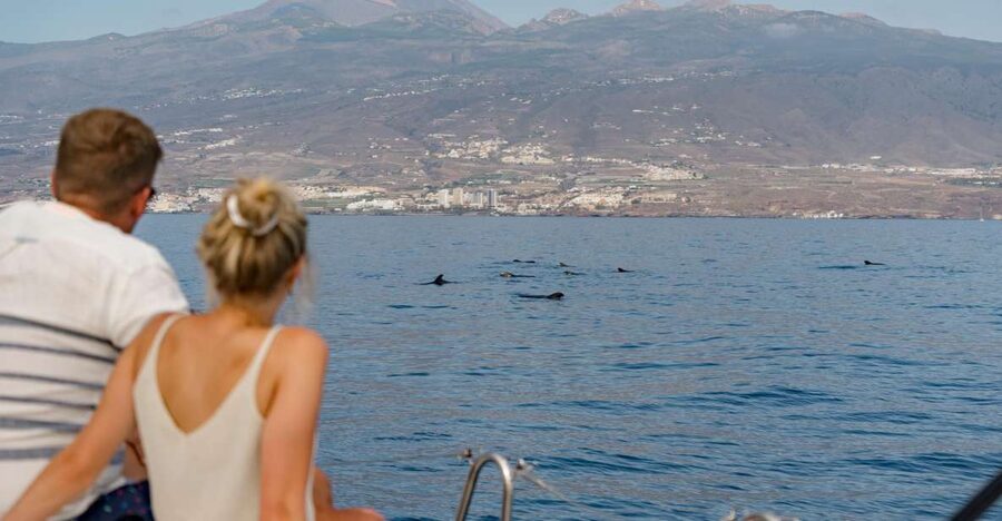 Puerto Colon: Whale and Dolphin Watching Yacht Trip - Setting out from Puerto Colón