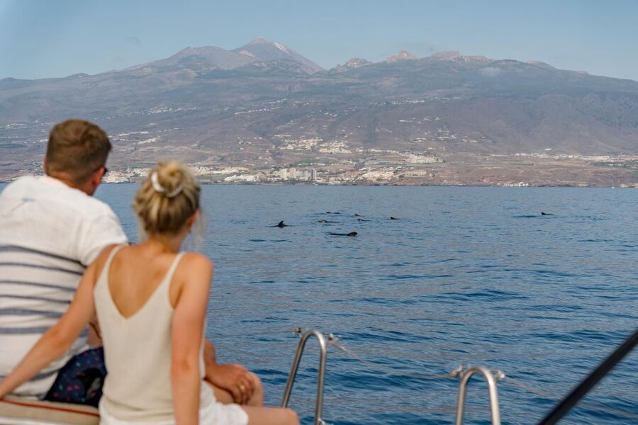 Puerto Colon: Whale and Dolphin Watching Yacht Trip - Should you book the Puerto Colón yacht trip?