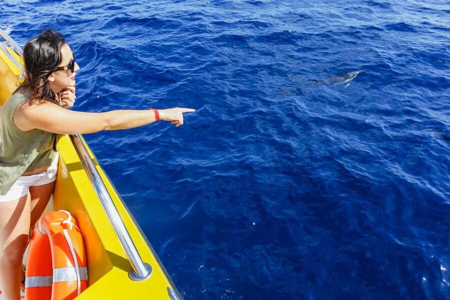 Puerto del Carmen: Dolphin-Watching Speedboat Tour with Swim - The swim stop in clear Atlantic water