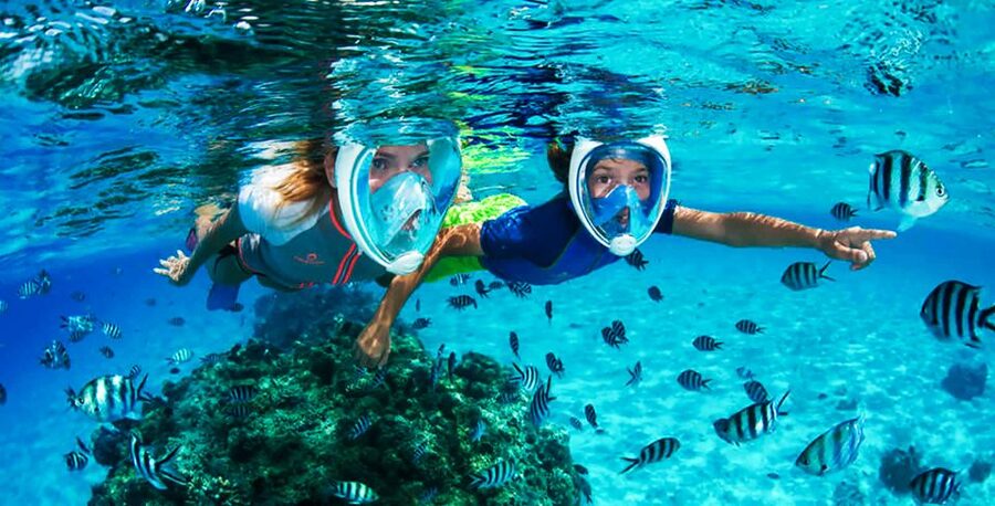 Puerto del Carmen: Dolphin-Watching Speedboat Tour with Swim - Should you book this Puerto del Carmen boat trip?
