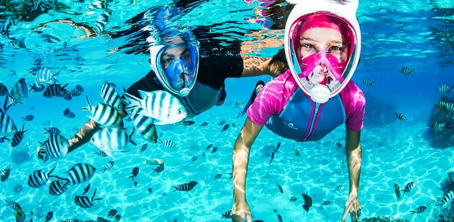 Puerto del Carmen: Dolphin-Watching Speedboat Tour with Swim - Searching the Atlantic for dolphins and whales