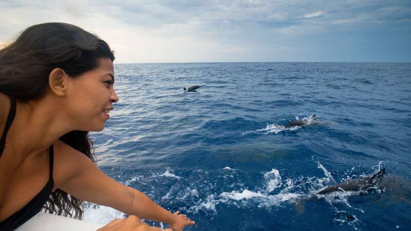Puerto Escondido: Boat Tour among Dolphins and Turtles - A 7:00 AM start from Puerto Escondido