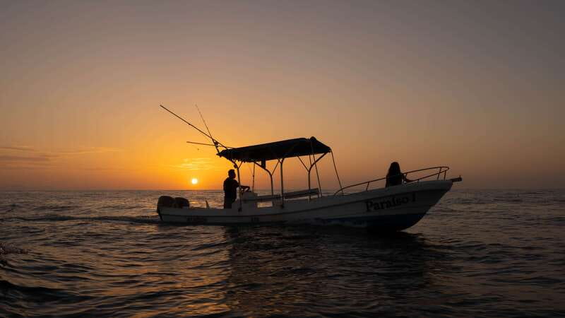 Puerto Escondido: Boat Tour among Dolphins and Turtles - Dolphins, turtles, and the chance of whales