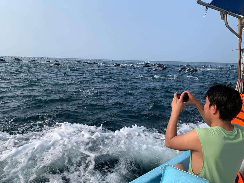 Puerto Escondido: Boat Tour to see Dolphins and Marine Life - Snorkeling near shore at the end