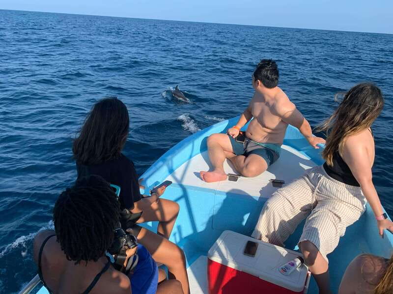 Puerto Escondido: Boat Tour to see Dolphins and Marine Life - Whale watching from November through March