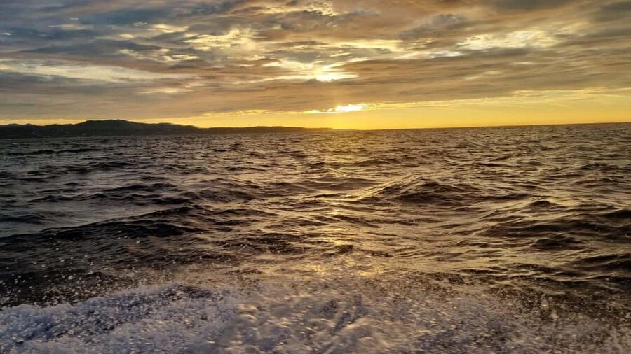 Puerto Escondido: The Best Adventure for Dolphin Watching - Key points to know before you book