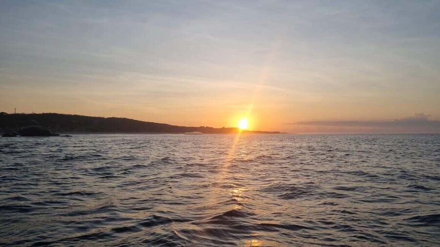 Puerto Escondido: The Best Adventure for Dolphin Watching - Swimming near dolphins, with an important condition