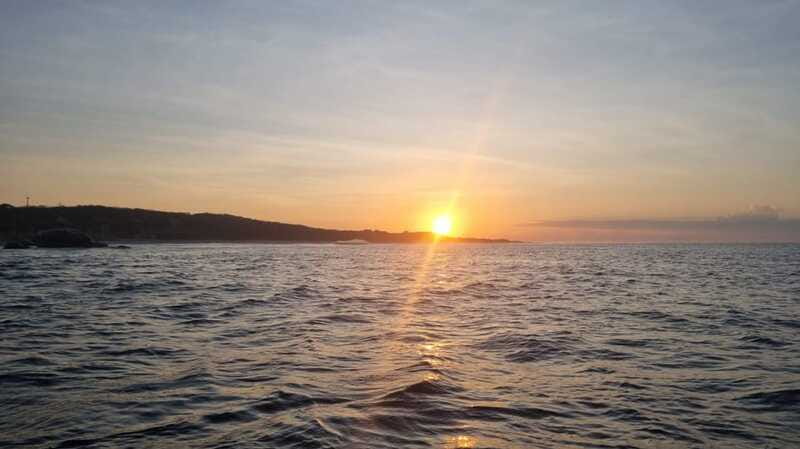 Puerto Escondido: The Best Adventure for Dolphin Watching - Turtles, manta rays, whales, and seabirds on the return
