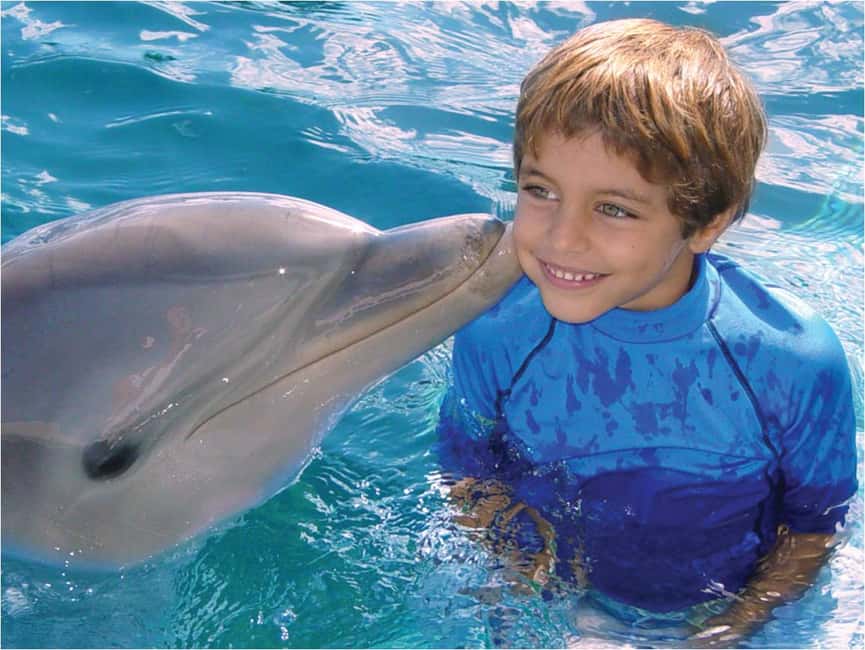 Puerto Plata: Dolphin Encounter at Ocean World - Key points at a glance