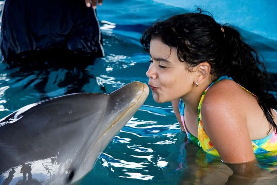 Puerto Plata: Dolphin Encounter at Ocean World - A dolphin encounter built for non-swimmers