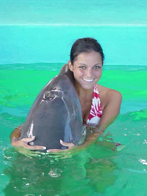 Puerto Plata: Dolphin Encounter at Ocean World - Ocean World’s large man-made dolphin lagoon