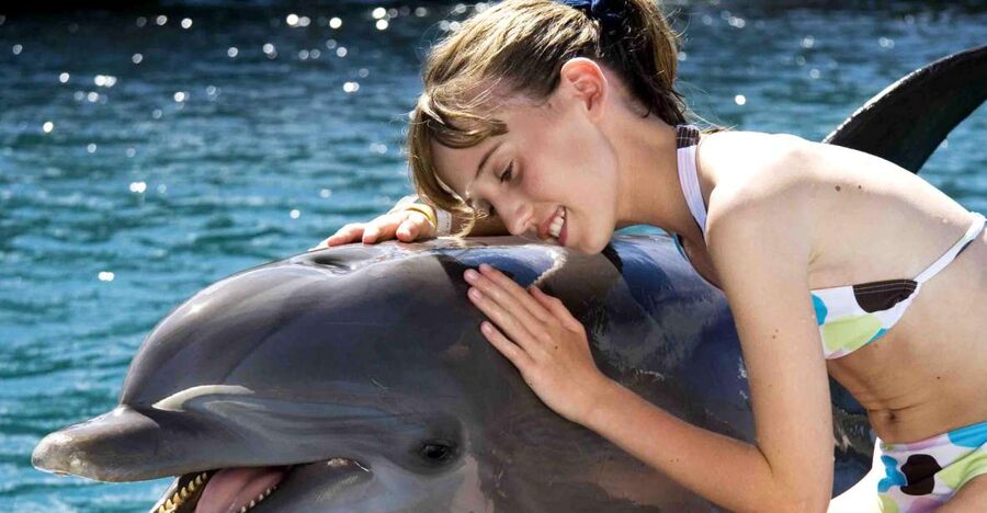 Puerto Plata: Dolphin Encounter at Ocean World - Tropical Reef snorkeling: useful, but keep expectations modest