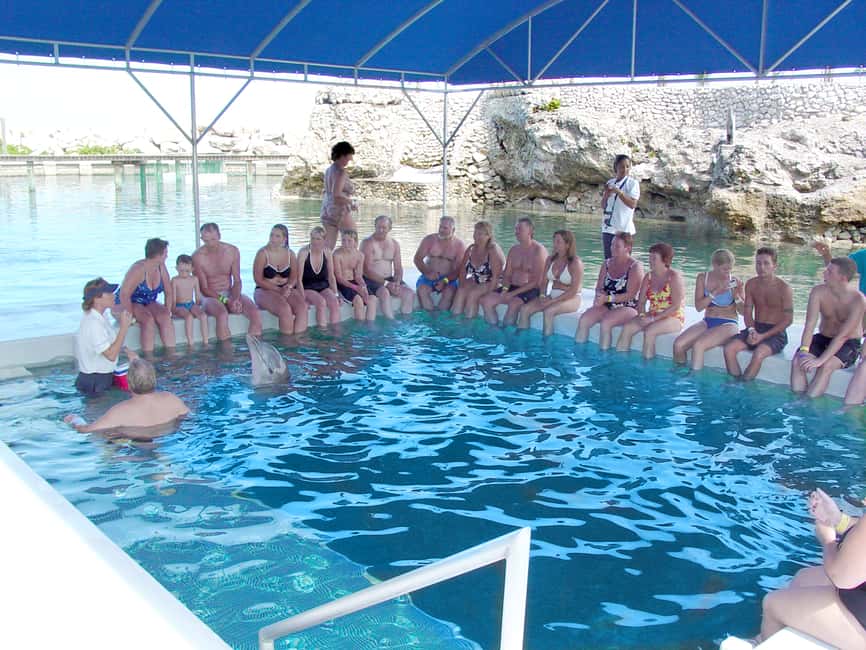 Puerto Plata: Dolphin Encounter at Ocean World - Who gets the best value for $129