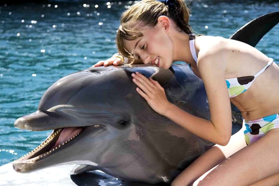 Puerto Plata: Dolphin Encounter at Ocean World - What the 15-minute program feels like