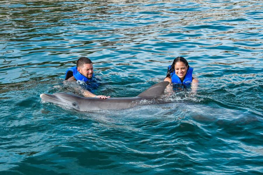 Puerto Plata: Ocean World Adventure Park Swim with Dolphins - The dolphin encounter at Ocean World