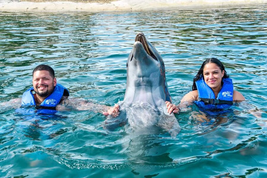 Puerto Plata: Ocean World Adventure Park Swim with Dolphins - A full day, not just a swim