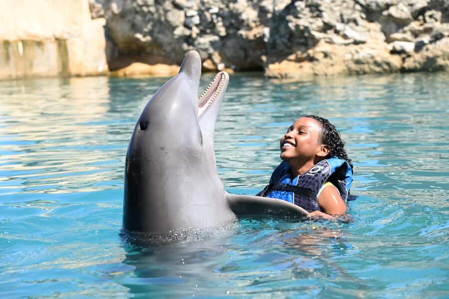 Puerto Plata Ocean World Dolphin Swim - Key points to know before booking