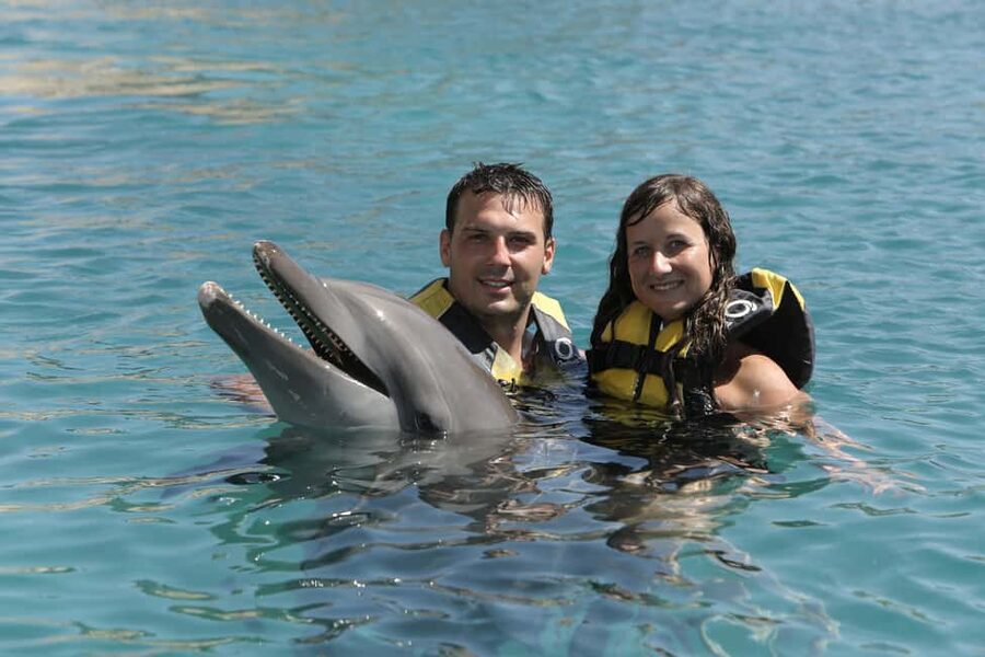 Puerto Plata Ocean World Dolphin Swim - The dolphin swim at Ocean World