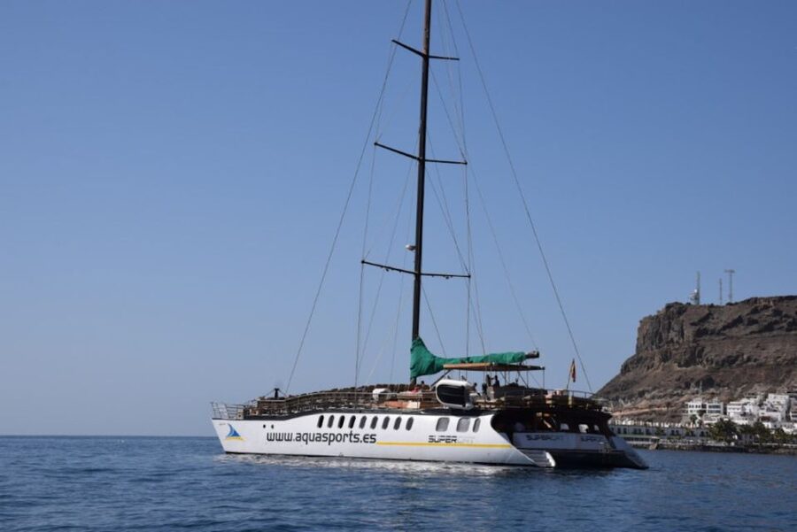 Puerto Rico : 2 hour Dolphin Catamaran Excursion - Key points to know before booking