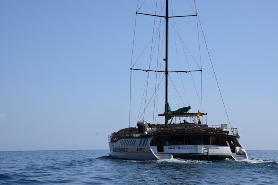 Puerto Rico : 2 hour Dolphin Catamaran Excursion - Setting out from Puerto Rico’s harbor