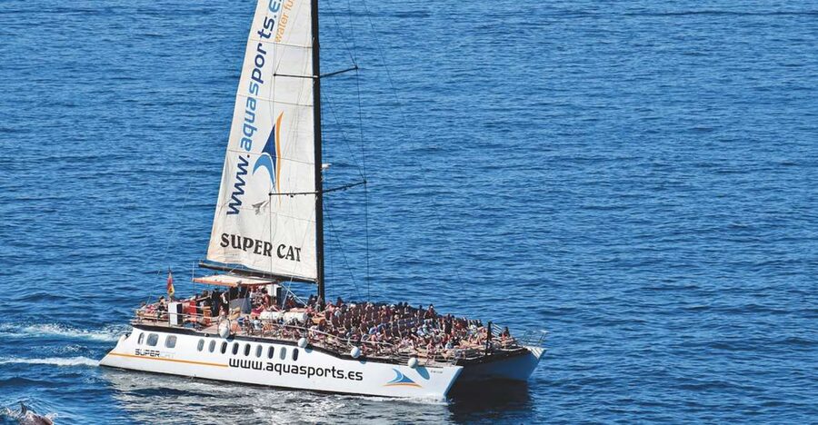 Puerto Rico : 2 hour Dolphin Catamaran Excursion - Dolphins, whales, turtles, and flying fish