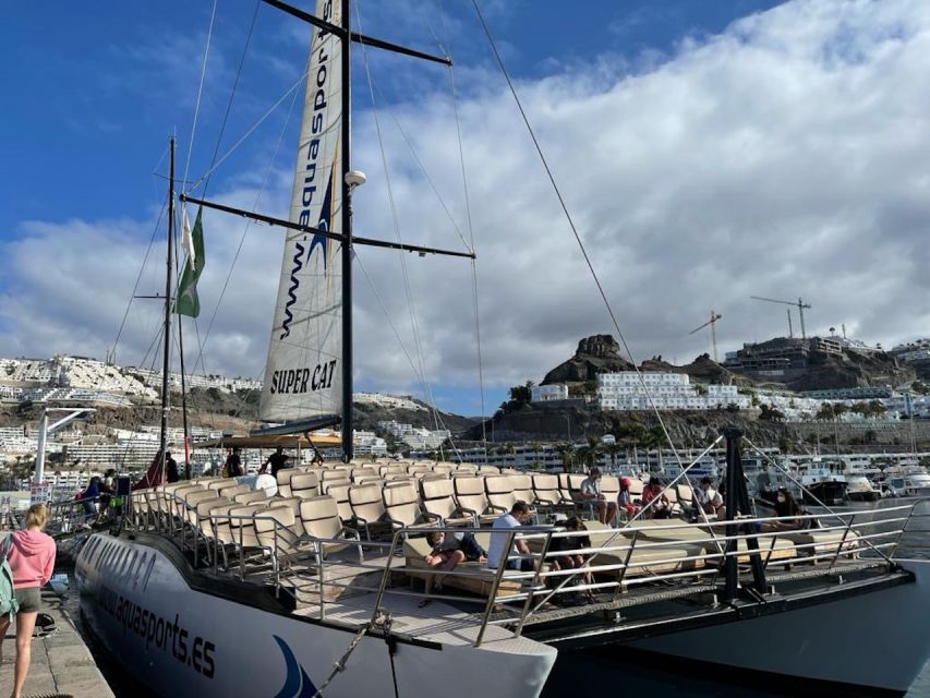 Puerto Rico : 2 hour Dolphin Catamaran Excursion - Comfort, sunshine, and the onboard bar
