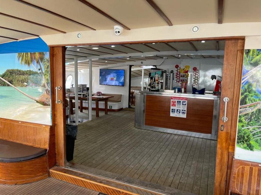 Puerto Rico : 2 hour Dolphin Catamaran Excursion - Sea-sickness and practical comfort